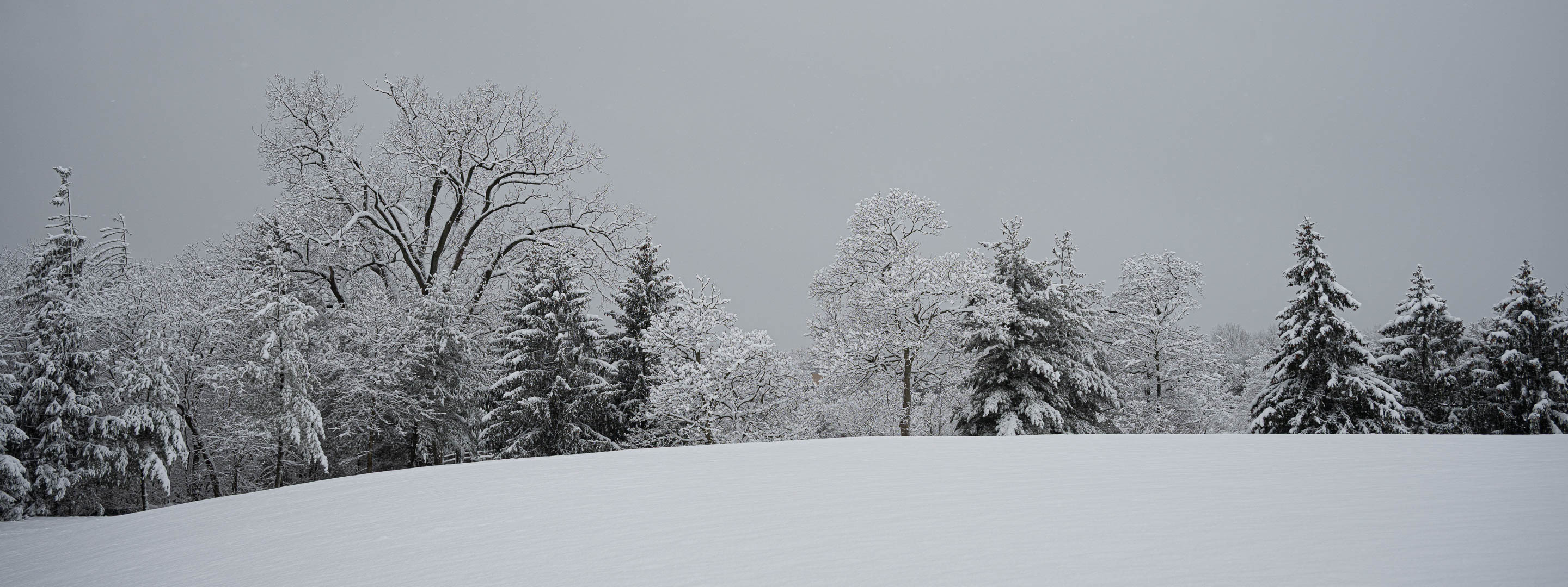 3rd PrizeMulti-Scape In Class 2 By Bill Balchunis For Winter Wonderland JAN-2026.jpg